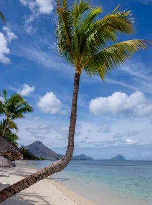 Holiday Package to Mauritius from Nepal