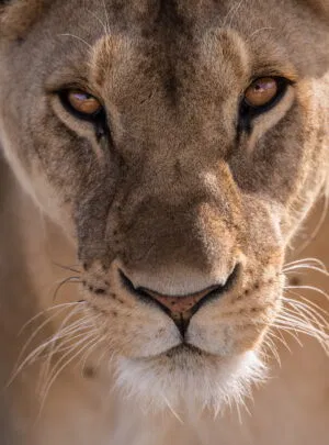 Tanzania holiday package