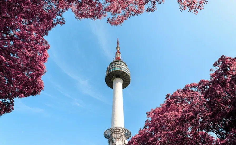 South Korea tour from Nepal